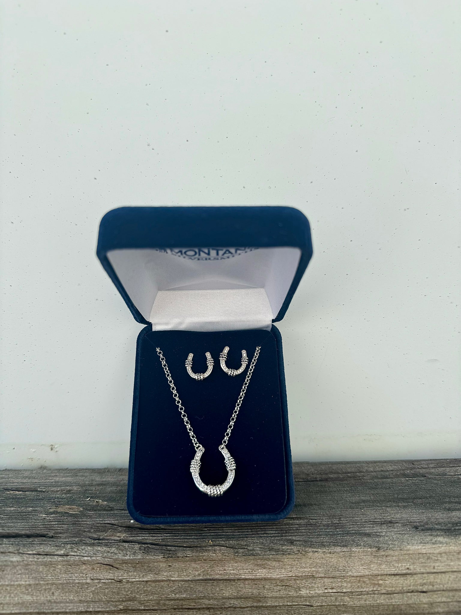 ER6016 Montana Silversmiths Roped Horseshoe Crystal Jewellery Set