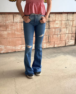 10051612 Ariat Ladies High Rise Flare Regular Leg - Jazmine Ombre