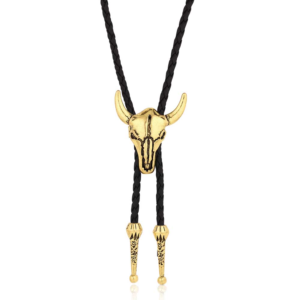 ABT6249 Montana Silversmith Southwest Desert Bolo Tie