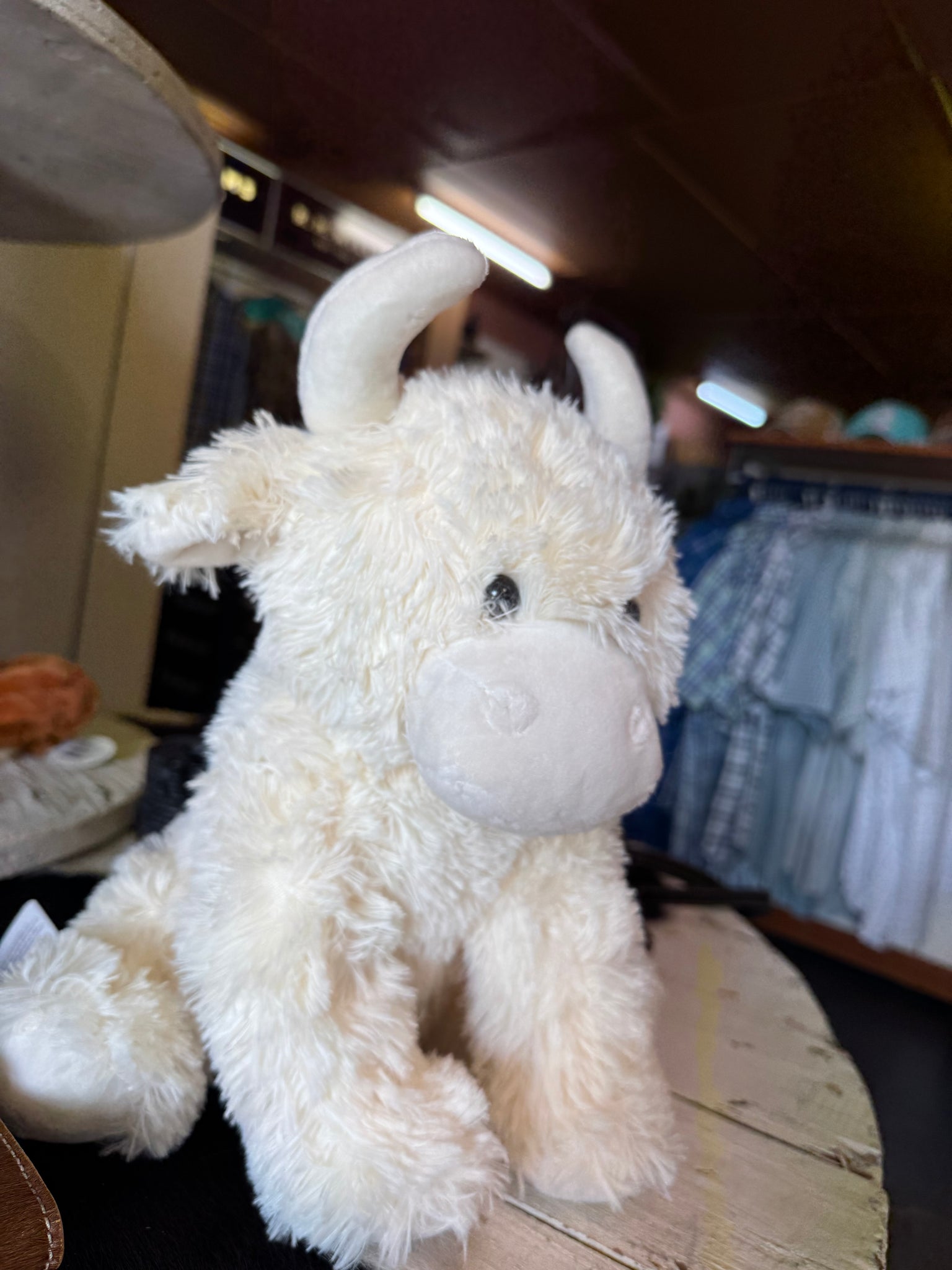 MRT80254C-30cm Scottish Highland Cow Plush Soft Toy Large Cream 30cm