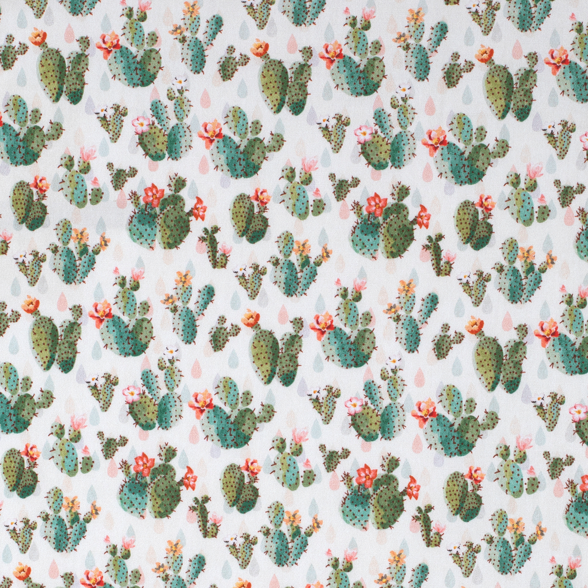 GWLS2411 Just Country Girls Harper Half Button Print Workshirt Cream Cactus