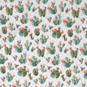 GWLS2411 Just Country Girls Harper Half Button Print Workshirt Cream Cactus