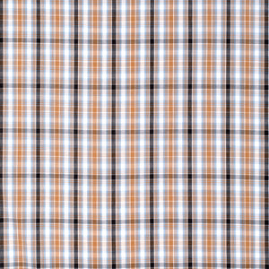 MWLS2527 Just Country Mens Austin L/S Print Workshirt Brown/Black Check
