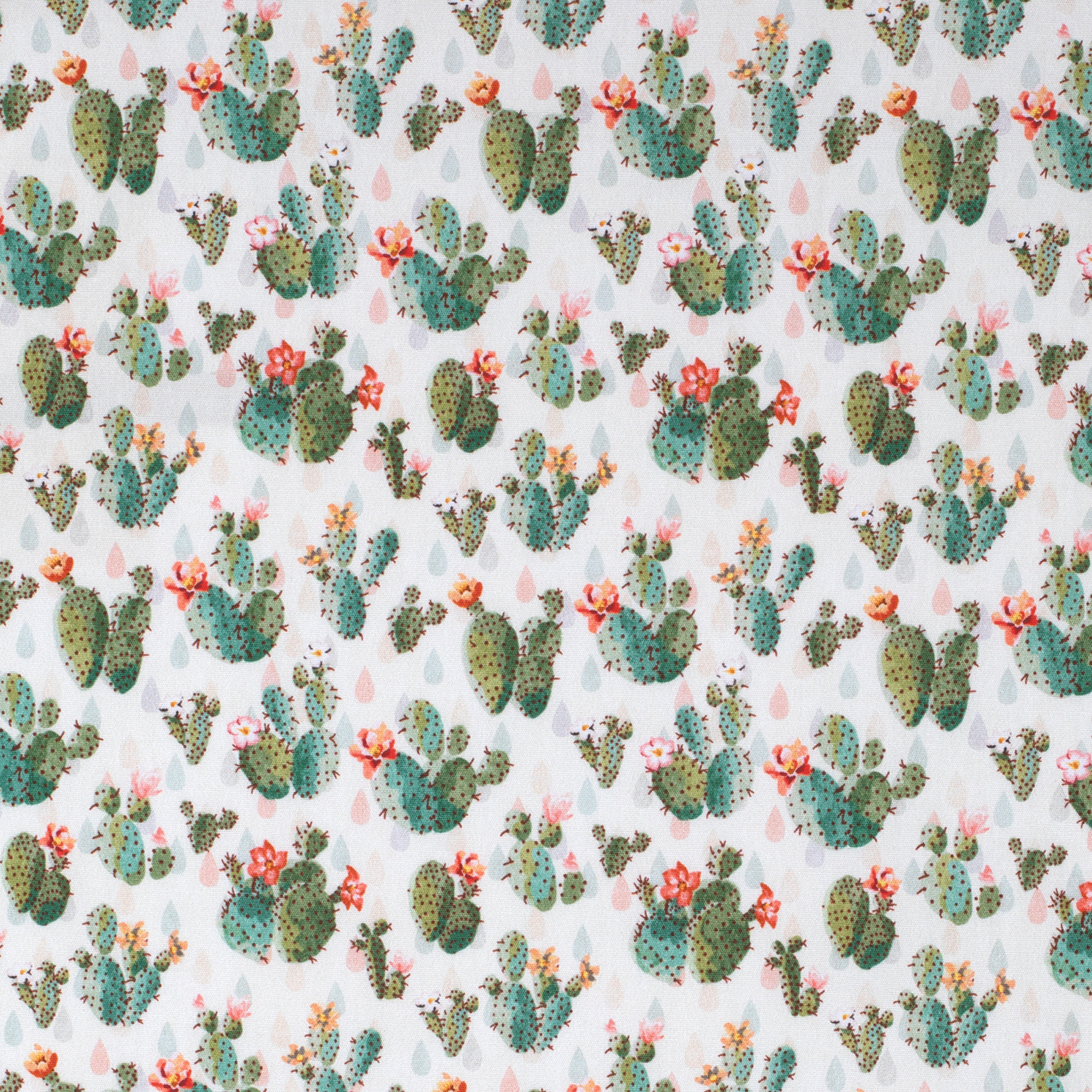 WWLS2411 Just Country Ladies Georgie Half Button Print Workshirt Cream Cactus