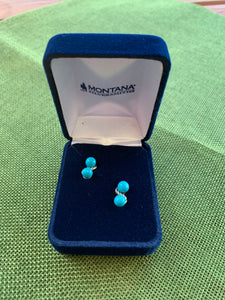 ER4722 Montana Earrings