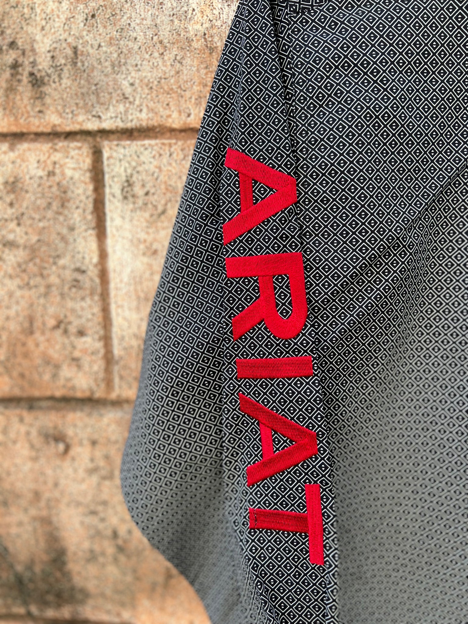 10041784 Ariat Mens Team Massimo Classic LS Shirt Red
